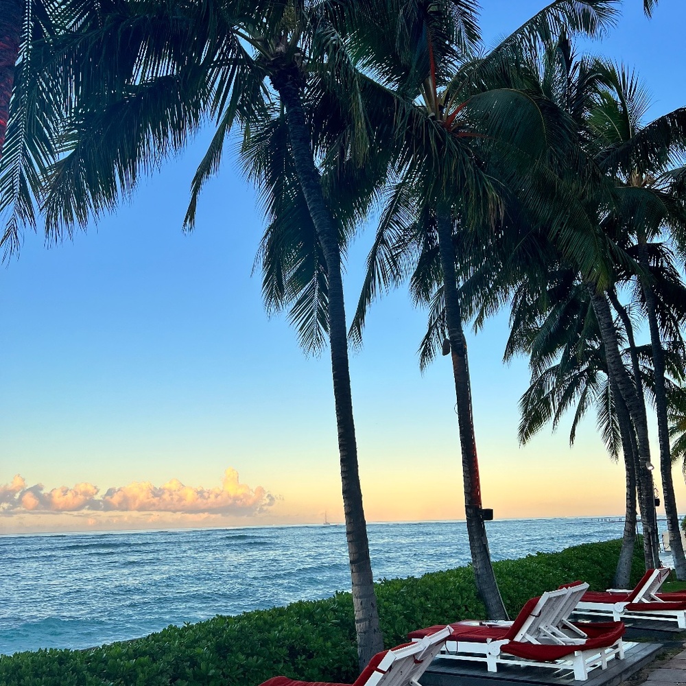 Meet your Posher, Eva